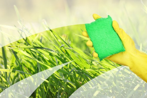 Professional mattress cleaning service for homes in Dulwich