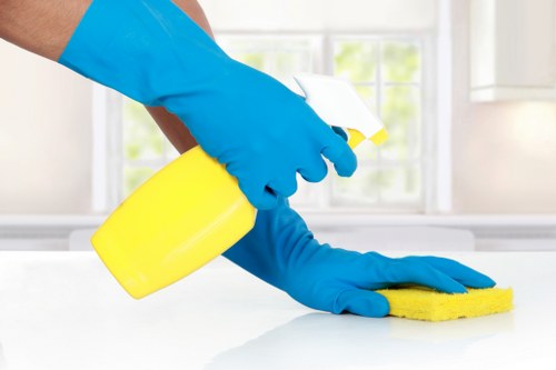 Regular housekeeping in a Dulwich flat