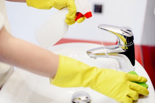 Deep cleaning of a pet stain on upholstery in Dulwich