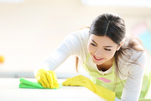 Deep cleaning kitchen surfaces and appliances in Dulwich