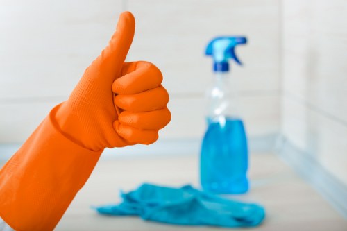 Professional regular cleaning setup for a Dulwich flat or apartment
