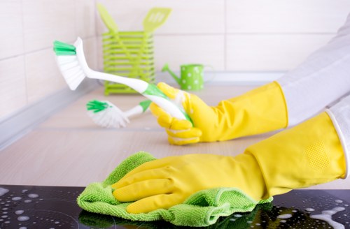 Recurring cleaning visit in a Dulwich kitchen and bathroom setting