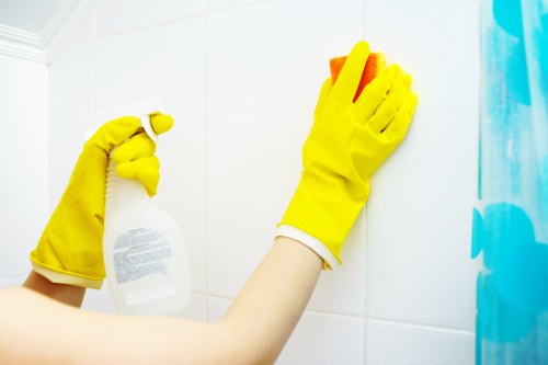 Seasonal cleaning support for a Dulwich home or office
