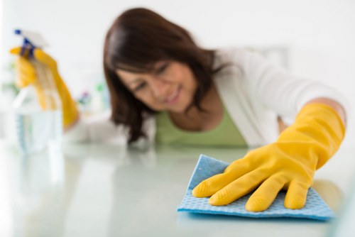 Cleaning technician treating a fabric sofa in Dulwich