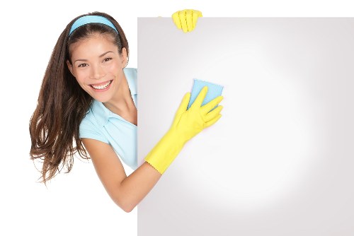 Cleaner maintaining a healthy and tidy living space in Dulwich