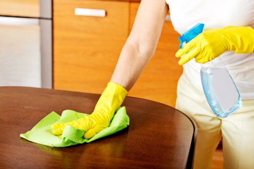 Local cleaners handling a period home deep clean in Dulwich